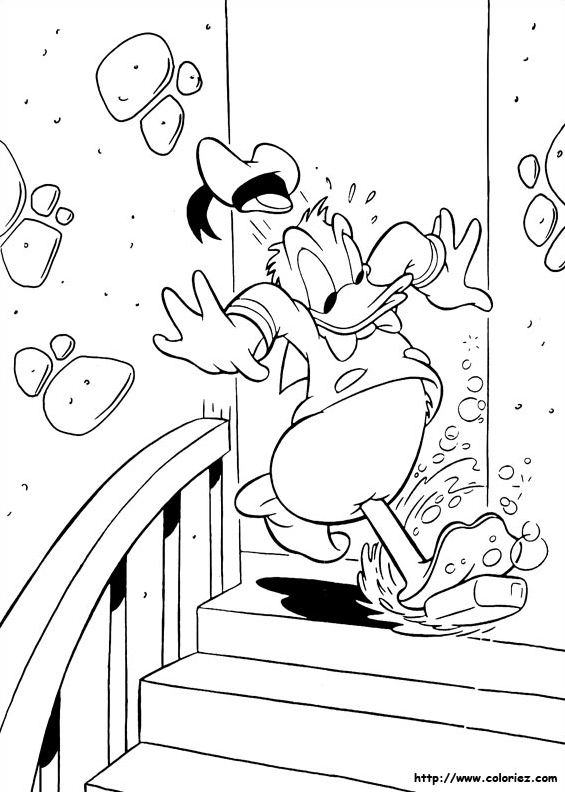 Donald et la savonette