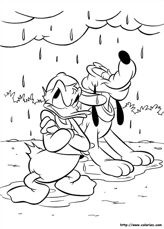 Donald et pluto sous la pluie