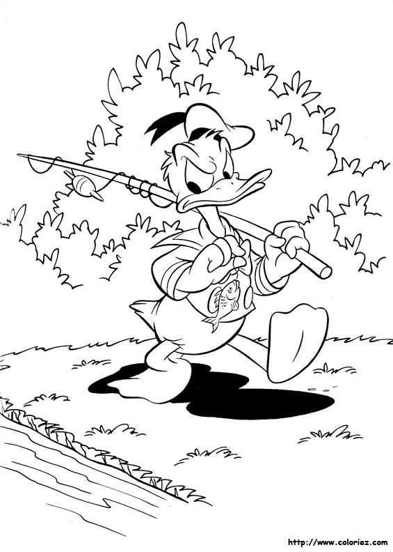 Donald part à  la pèche