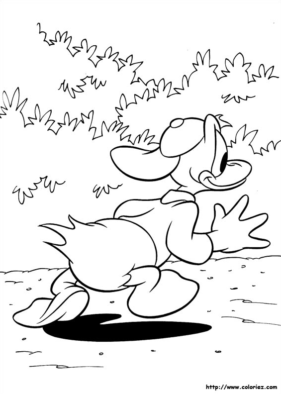 Donald prépare un mauvais coup