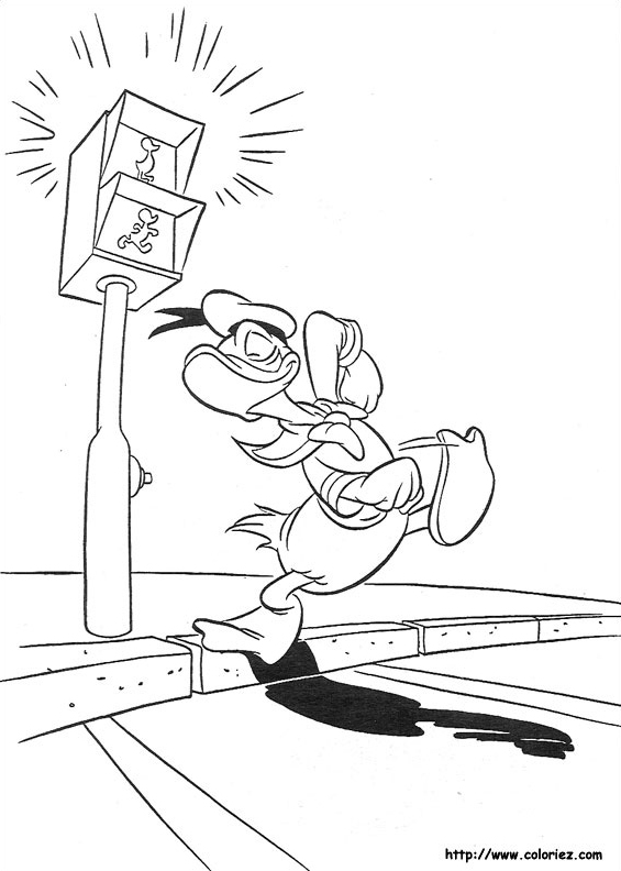 Donald qui traverse la route