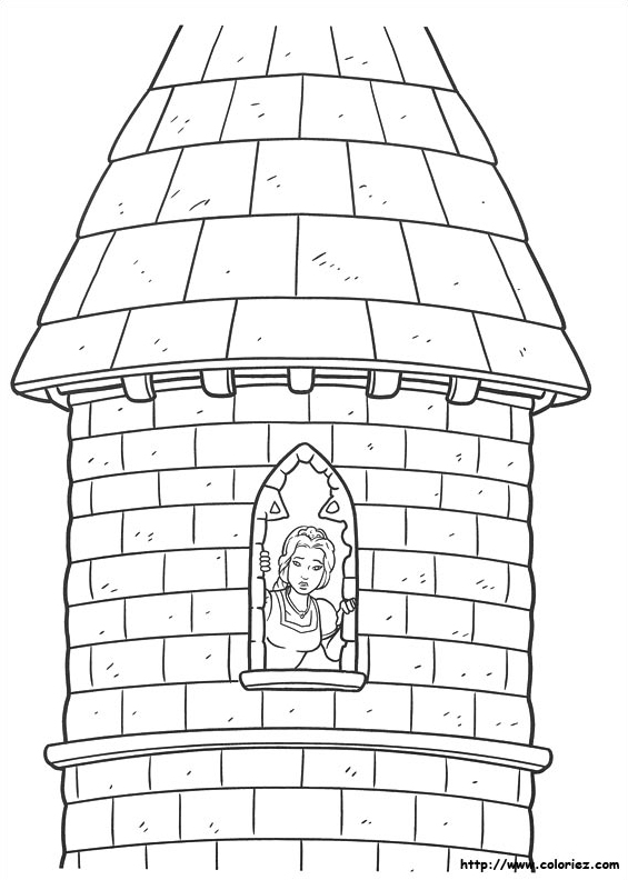 Donjon de Fiona