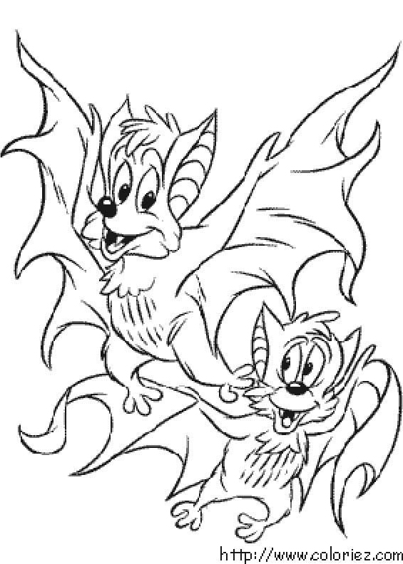 Drôle de chauve-souris