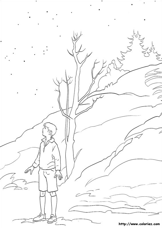 Edmund observe les étoiles