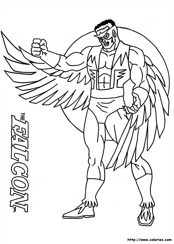 Faucon