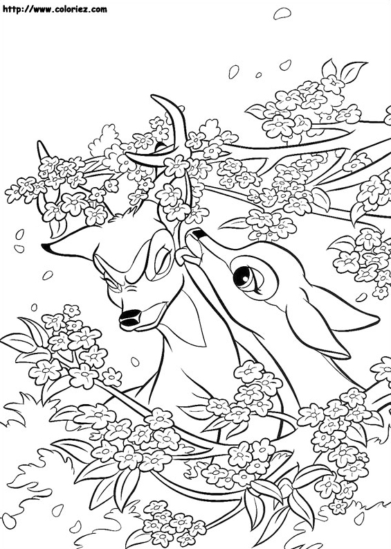 Féline aime jouer avec Bambi