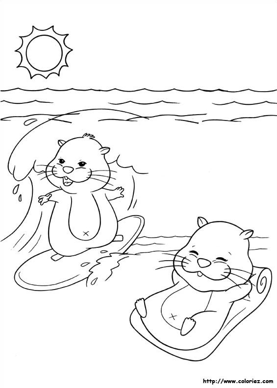 Hamsters à  la plage