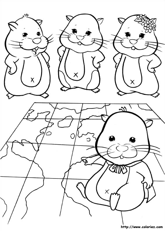 Hamsters autour du monde