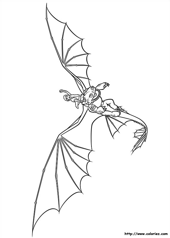 Harold le dresseur de dragon