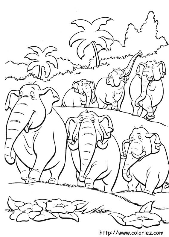 Hathi et les éléphants