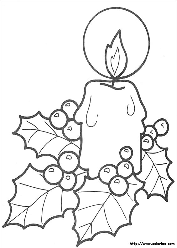 Houx de Noël