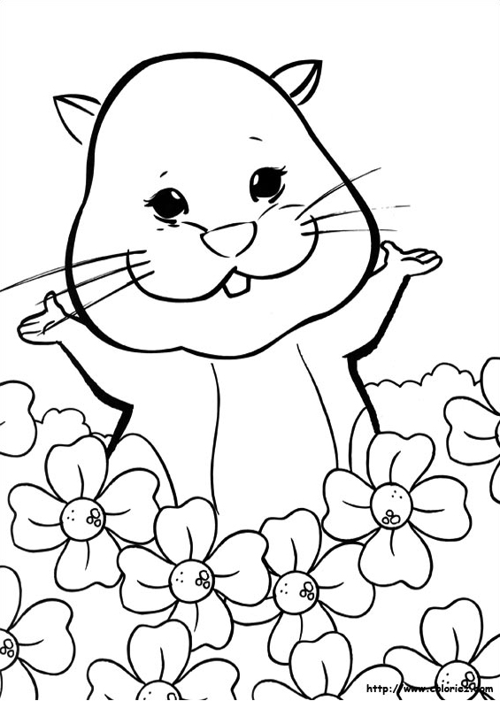 Jilly dans les fleurs