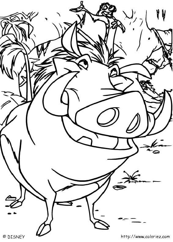 Joyeux Timon et Pumbaa