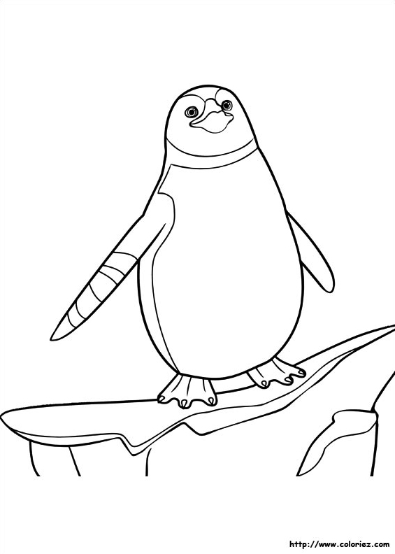 L'antarctique