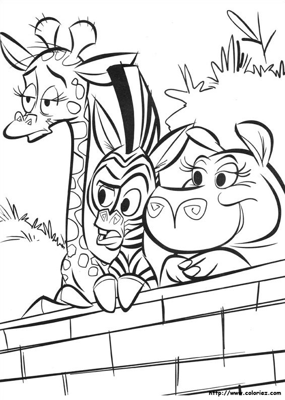 L'arrivée des nouveaux