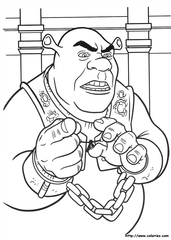 L'ogre Shrek en colère