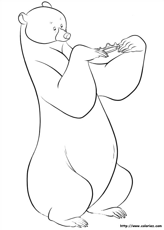 L'ours Elinor
