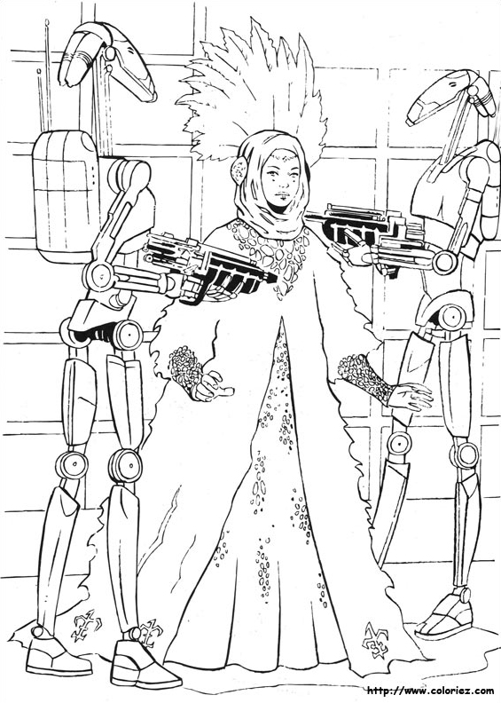 Star Wars, La capture de la reine Amidala