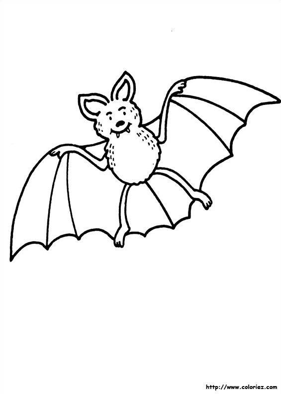 La chauve souris d'Halloween