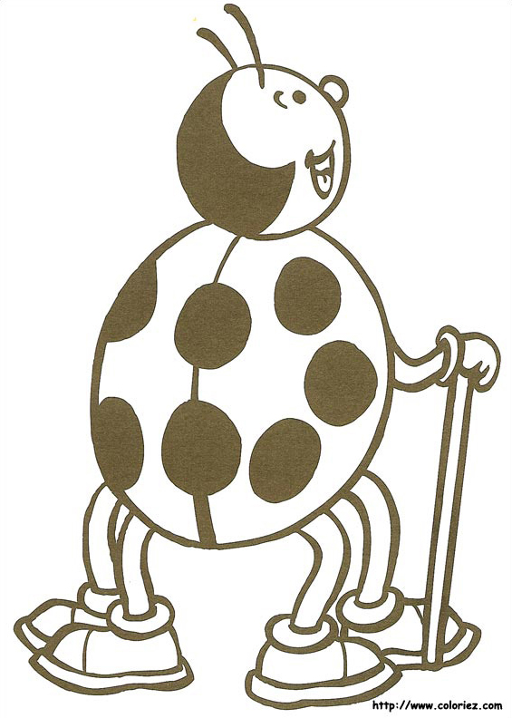 La coccinelle