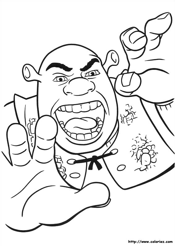 La colère de Shrek