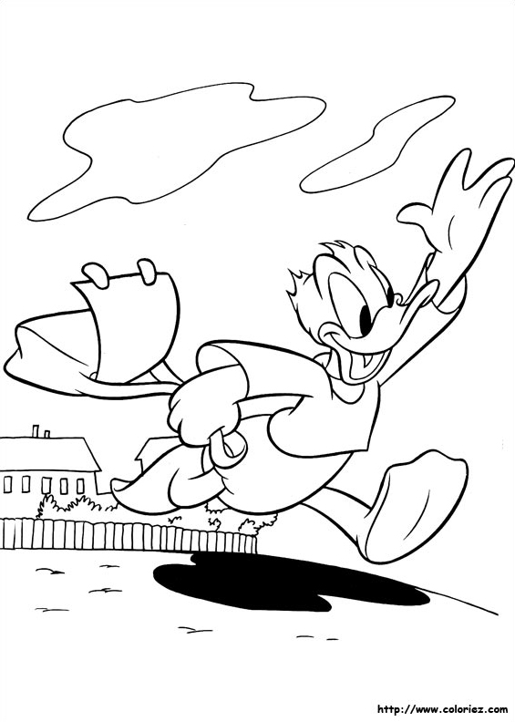 La course de Donald