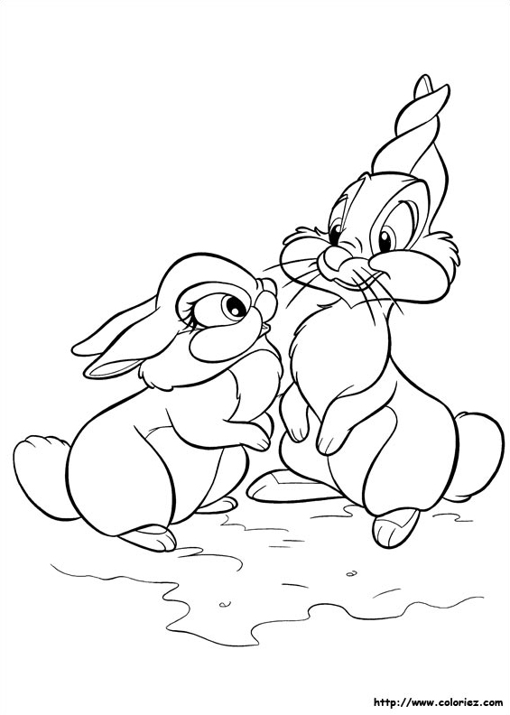 La jolie lapine