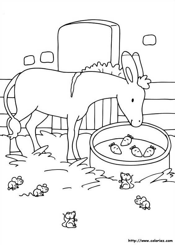 La mule de Saint Nicolas