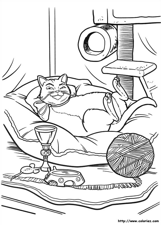 Le chat Potté dort