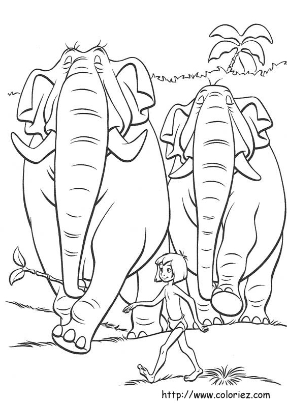 Le Colonel Hathi