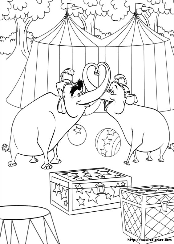 Le numéro des éléphants