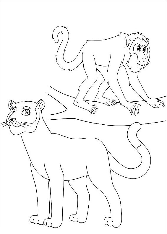 Le puma et le singe hurleur