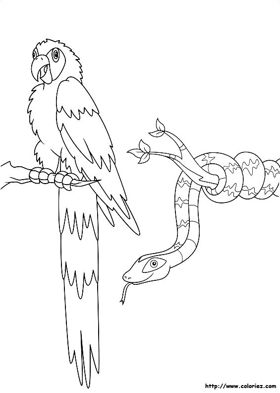 Les animaux des arbres