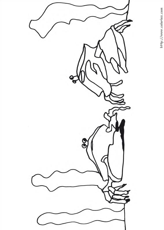Les crabes