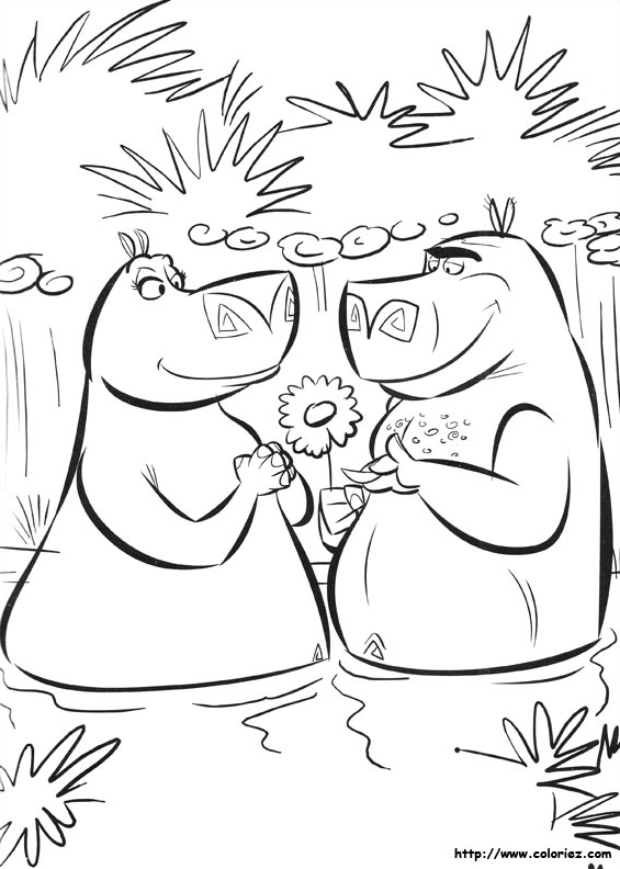Les hippopotames amoureux