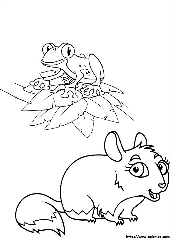 Les petits animaux
