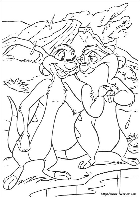 Les suricates