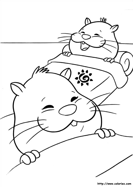 Les Zhu Zhu au lit