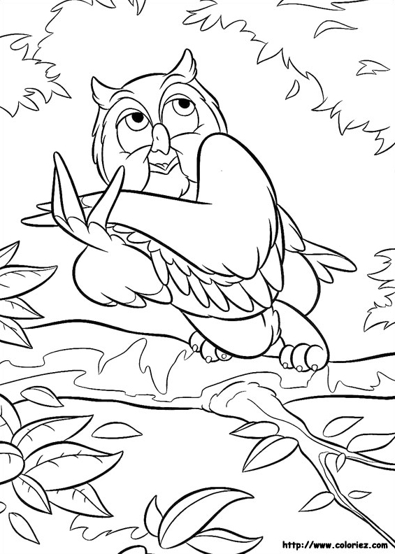 Maître Hibou
