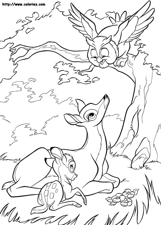 Maîttre Hibou et la jeune maman