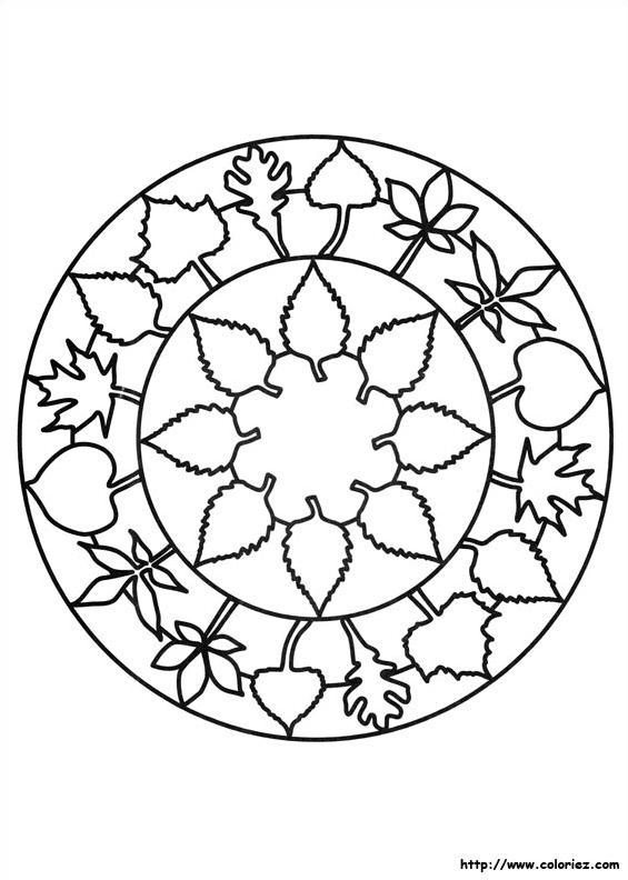 Mandala feuilles