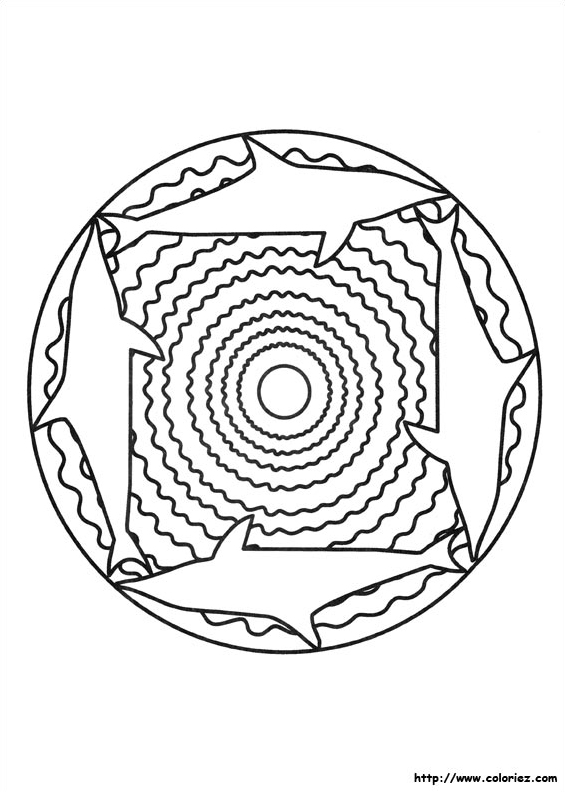 Mandala requins