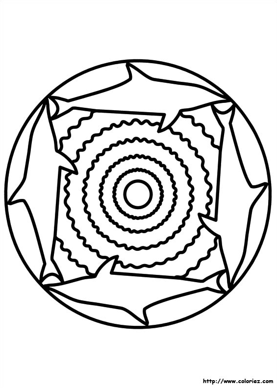 Mandala requins