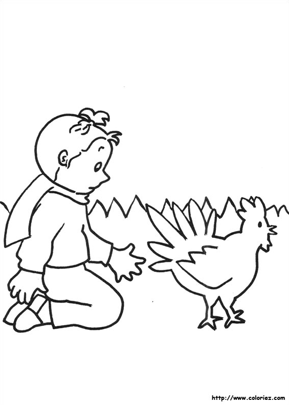 Mimi regarde une poule