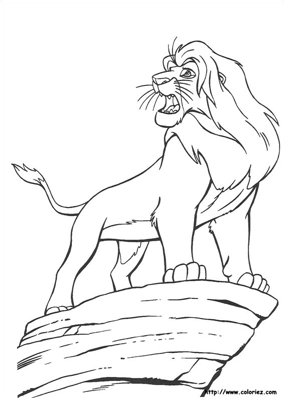 Mufasa sur son rocher