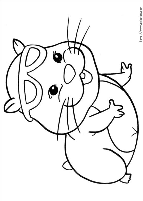 Natation pour zhu zhu pet