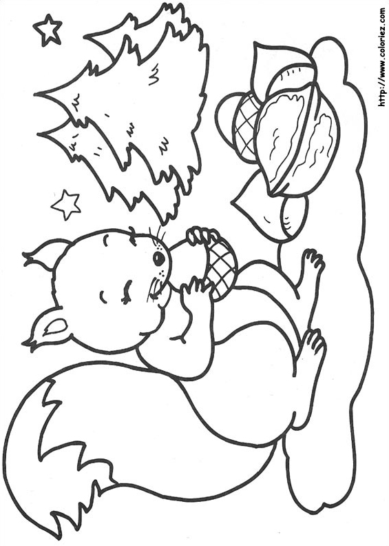 Noël des animaux de la forêt
