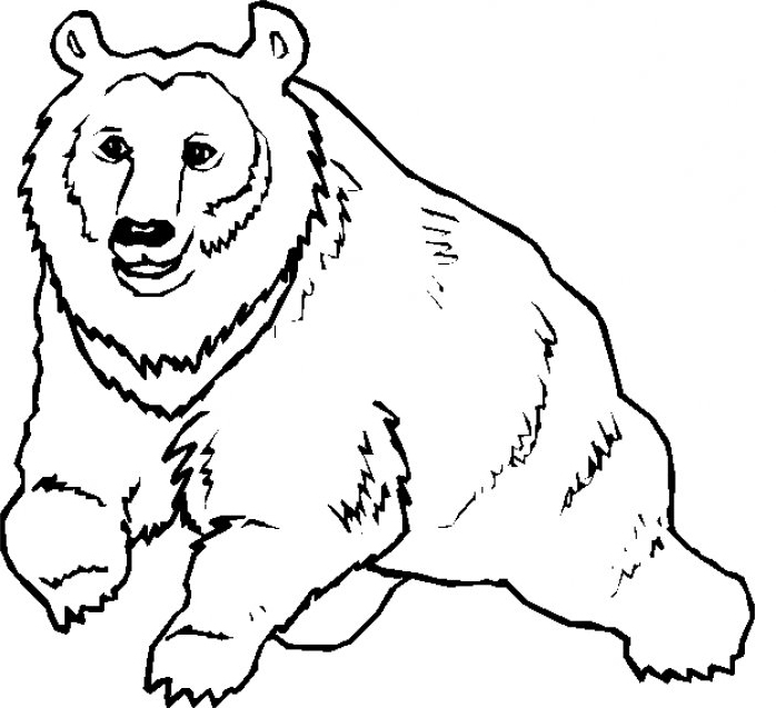Coloriage ours