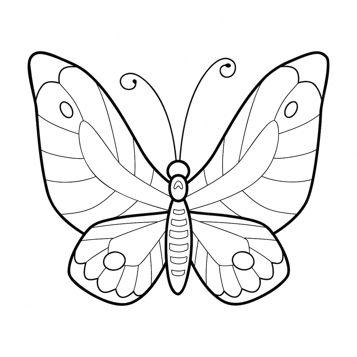 Coloriage papillon longue antennes