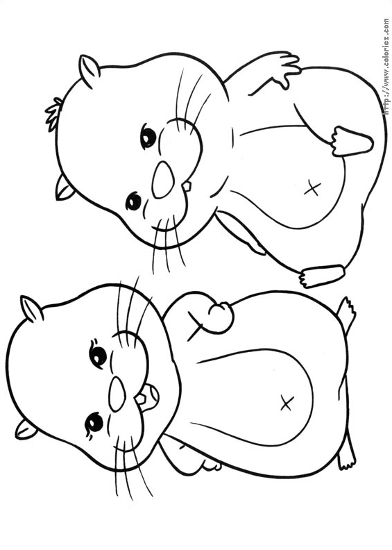 Patches et Chunk